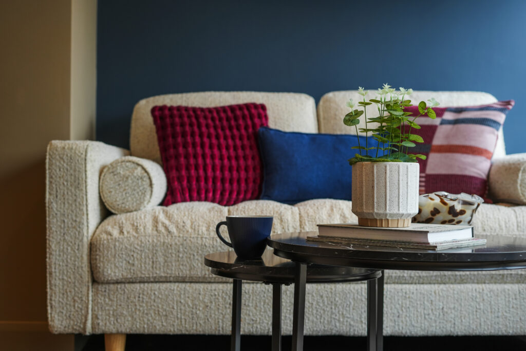 A comfy sofa to relax upon